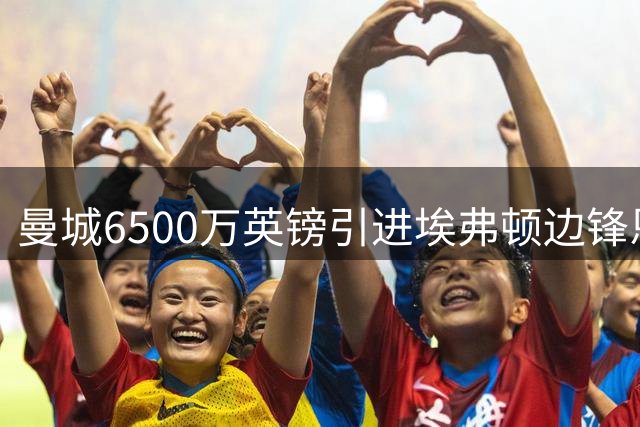 曼城6500万英镑引进埃弗顿边锋恩迪亚耶